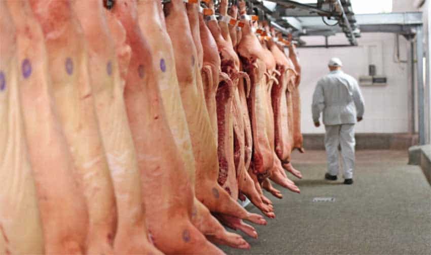 Importações de carne suína