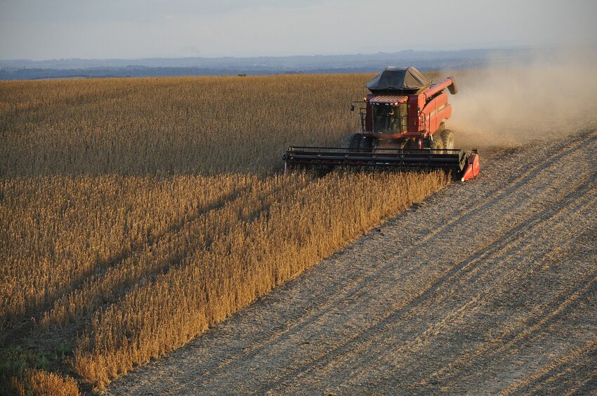 Colheita da safra brasileira 2021/22 de soja atinge 1,7%