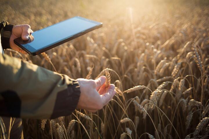 A nova era da digitalização do setor agro