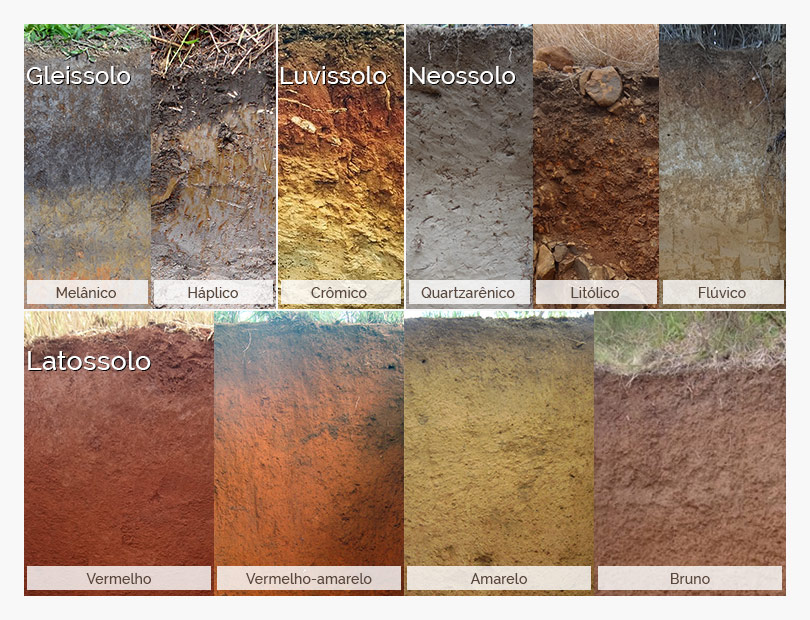 Tipos de solo: saiba quais são e os tipos existentes no Brasil
